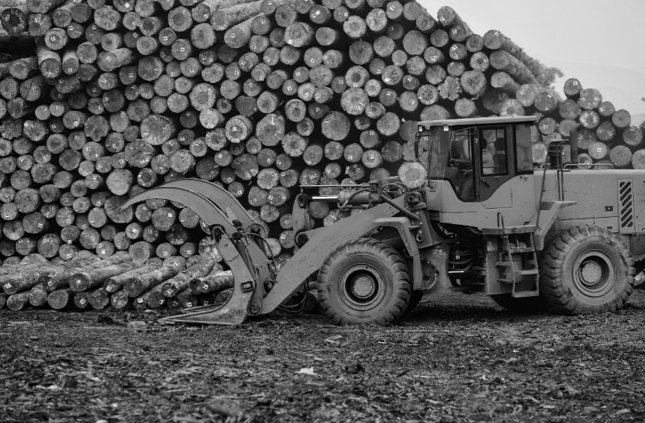 Specialty Equipment Financing