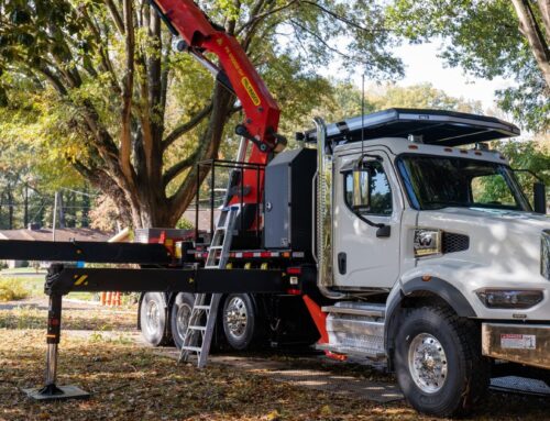 Small Business Showcase: Godspeed Tree Service, Inc.
