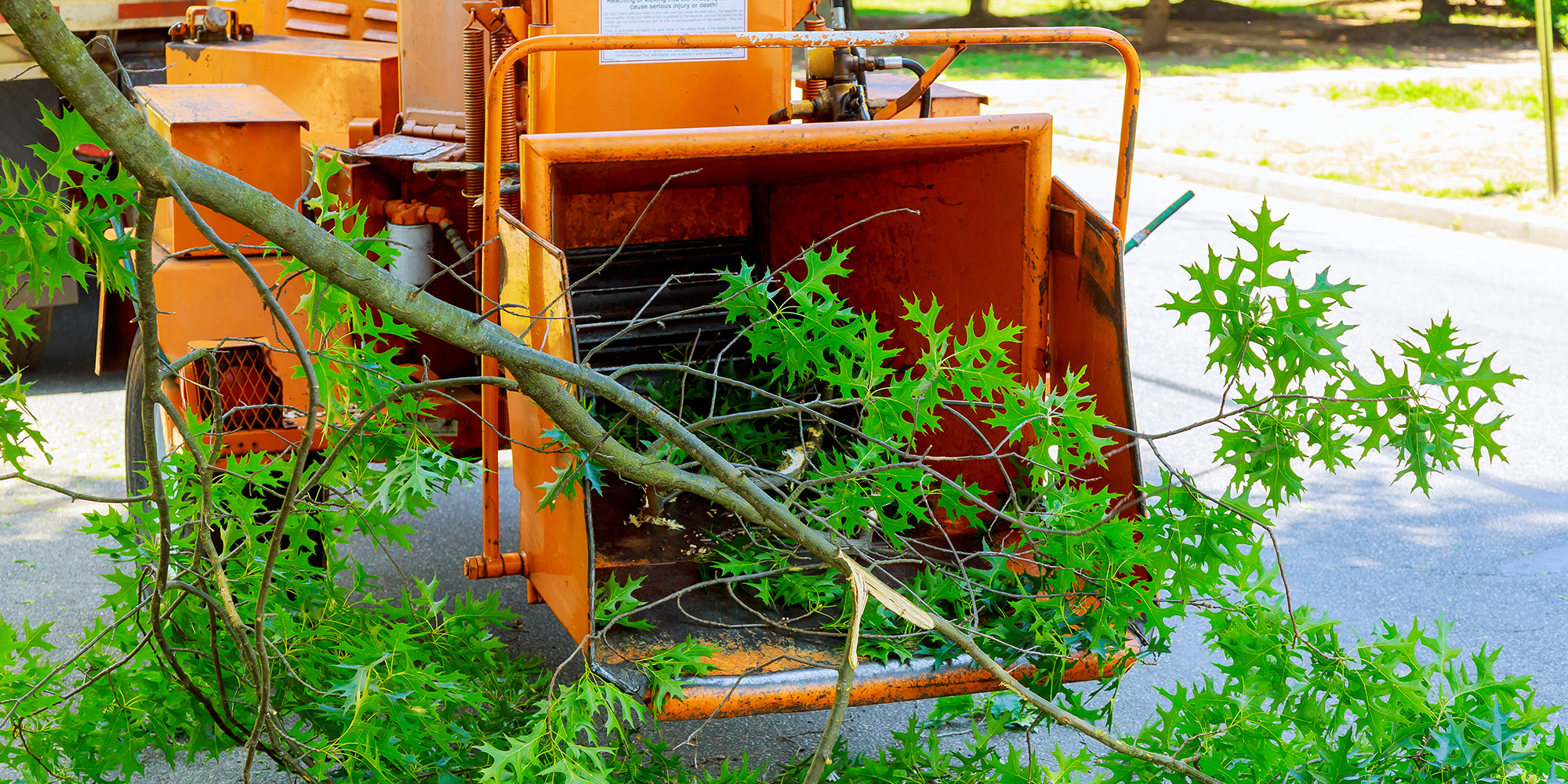 Tree care and landscaping equipment lending services from Oakmont Capital Services.