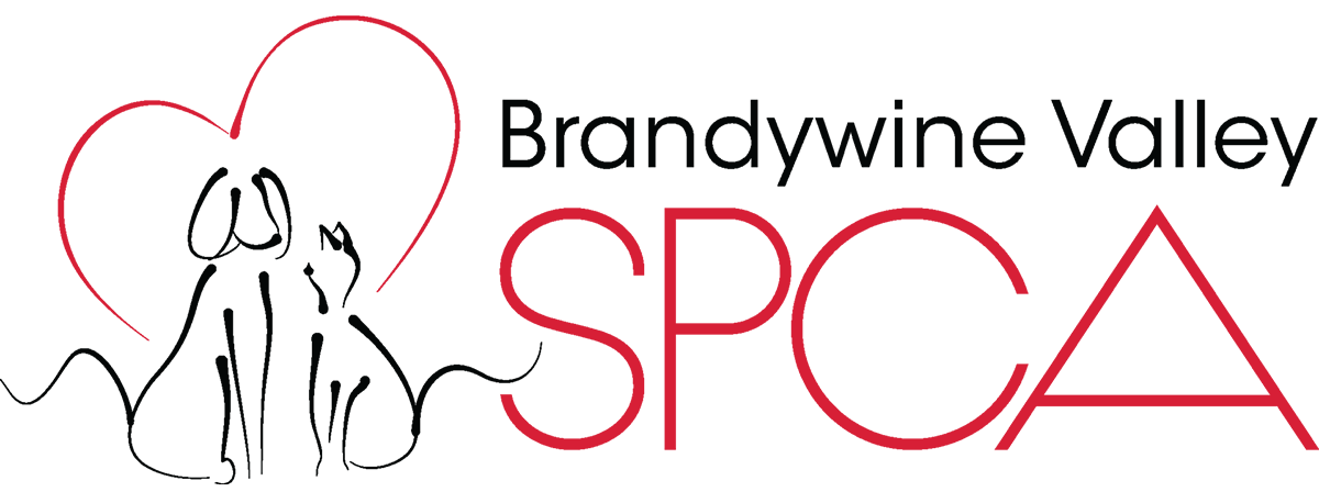 Oakmont Capital Services is proud to support the Brandywine Valley SPCA.