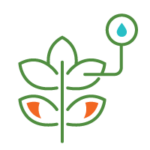 Oakmont Capital Services Finance Careers Perk: Fun and nurturing environment