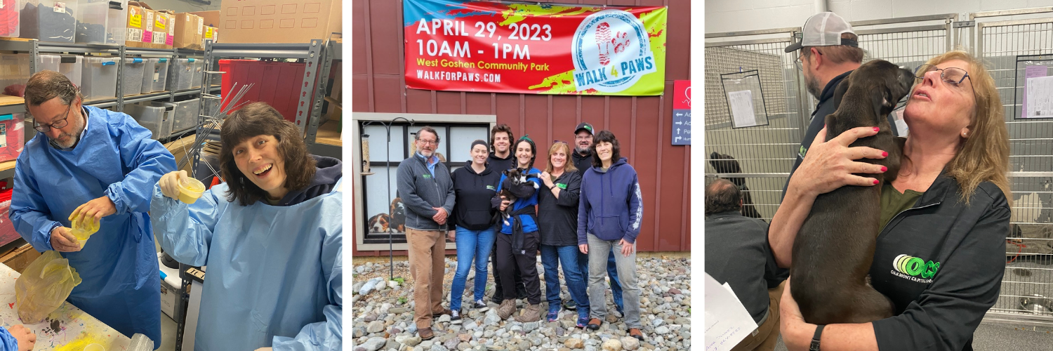 The West Chester Branch worked with the BVSPCA in prep for their upcoming walk fundraiser.