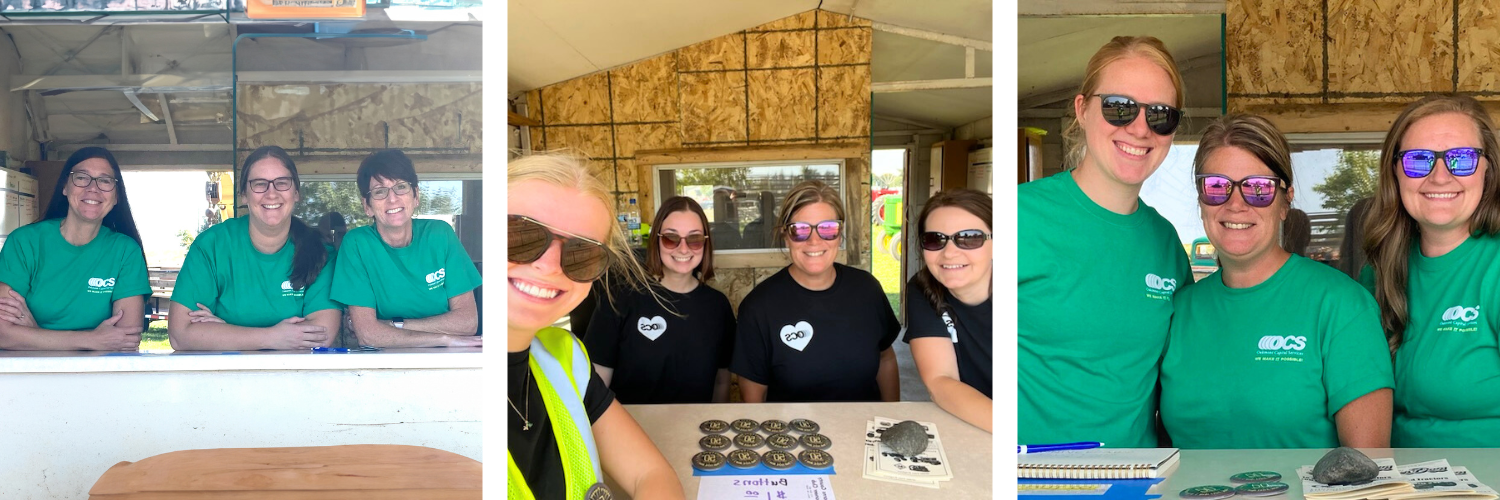 A visual summary of Pioneer Days, which is an event held every year in Albany, MN.